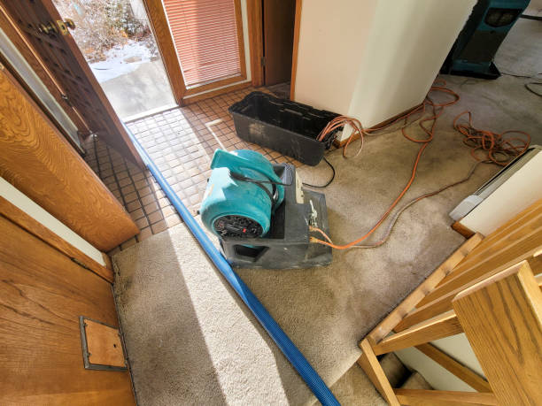 Best Basement water damage restoration  in Kensington, NY