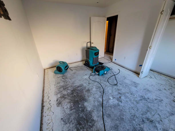 Best Carpet water damage restoration  in Kensington, NY