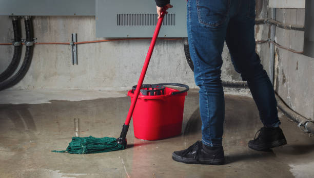 Best Basement water damage restoration  in Kensington, NY